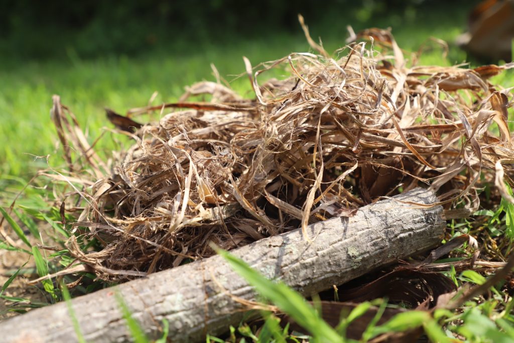 pile of tinder from bark