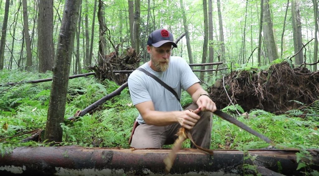 peeling bark off tree to start a fire